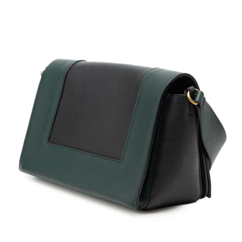 Celine Medium Shiny Smooth Calfskin Frame Shoulder Bag Green Leather Very good condition - Back View