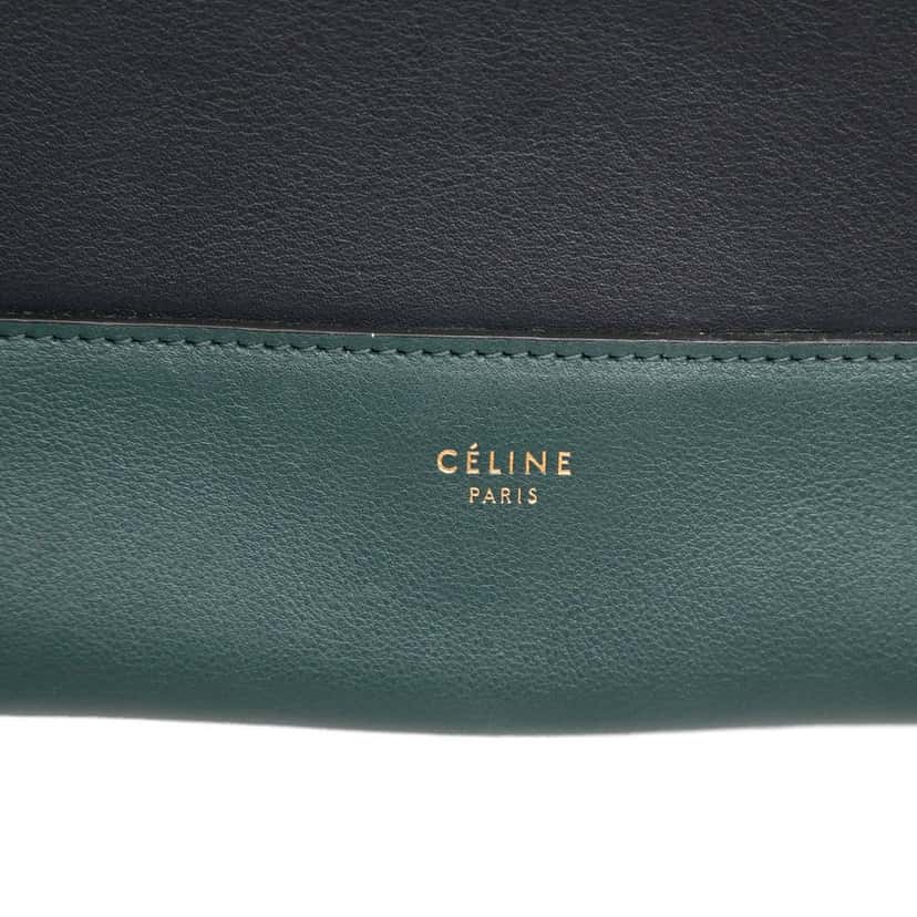 Celine Medium Shiny Smooth Calfskin Frame Shoulder Bag Green Leather Very good condition - Box View