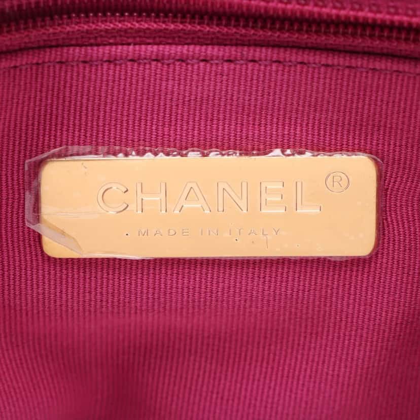 Chanel Medium Canvas 19 Flap Pink Very good condition - Model View