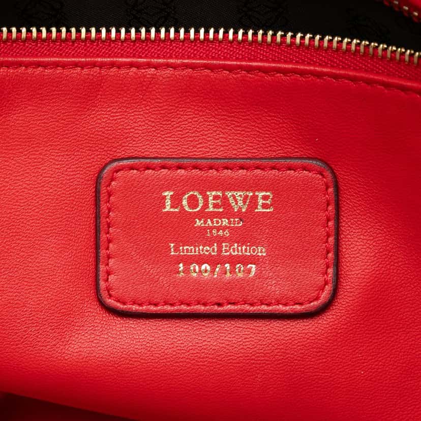 Loewe Tricolor Leather Amazona 36 Red Leather Very good condition - Box View