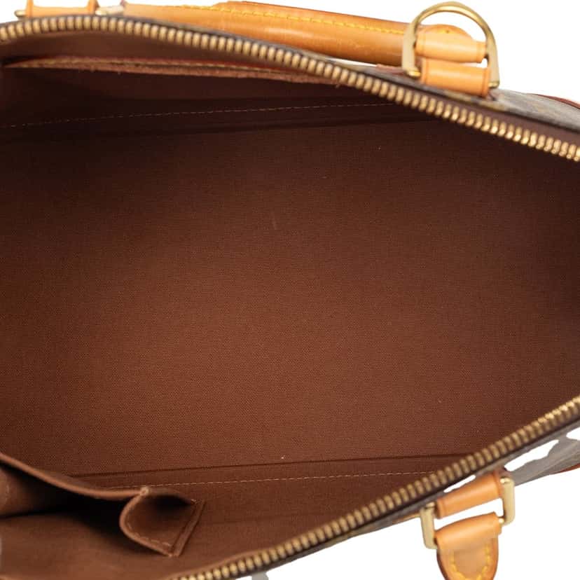 Louis Vuitton Monogram Alma PM Brown Very good condition - Model View