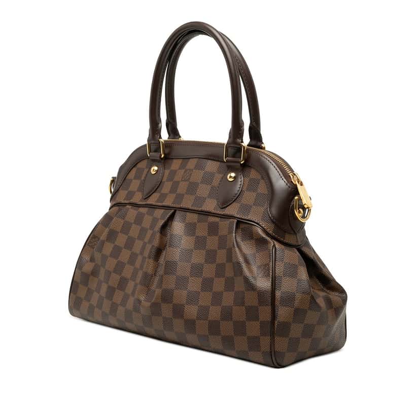 Louis Vuitton Damier Ebene Trevi PM Brown Very good condition - Back View