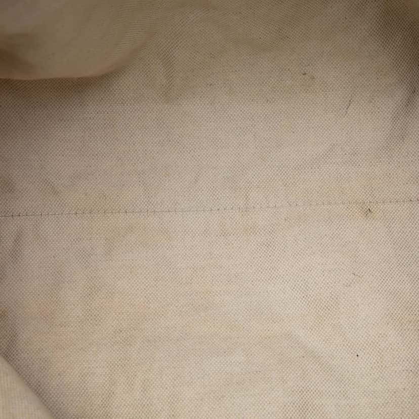Gucci GG Canvas Sukey Satchel Beige Good condition - Model View