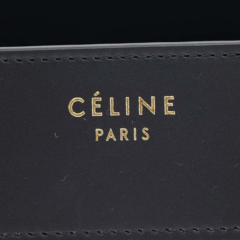 Celine Micro Tricolor Nubuck and Calfskin Luggage Tote Blue Leather Very good condition - Box View