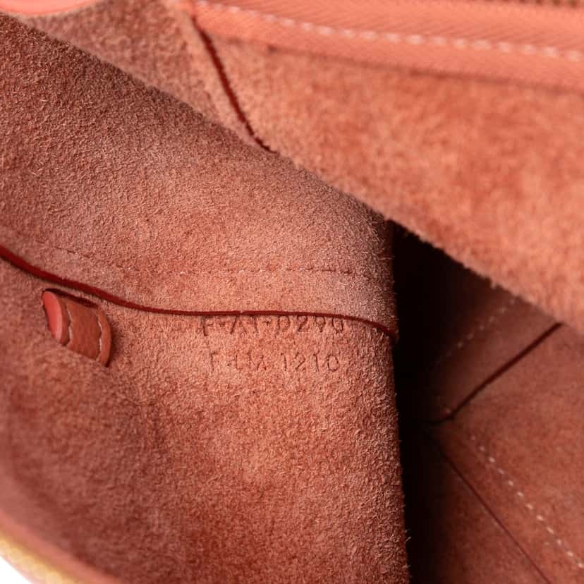 Celine Nano Grained Calfskin Belt Bag Orange Leather Very good condition - Box View