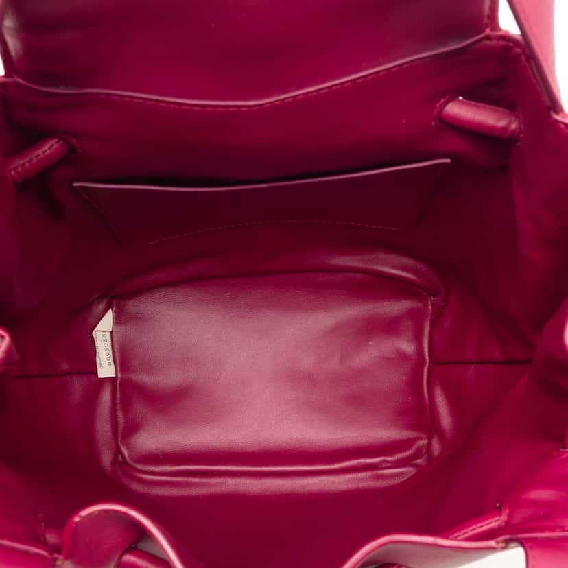 Bottega Veneta Small Calf Beak Bag Purple Leather Very good condition - Model View