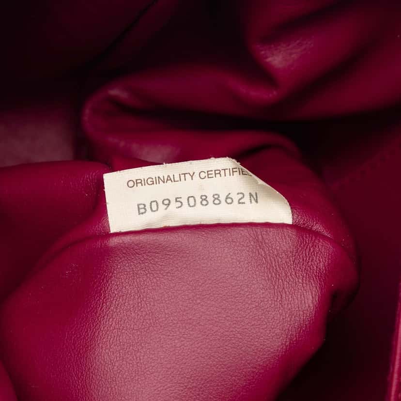 Bottega Veneta Small Calf Beak Bag Purple Leather Very good condition - Box View