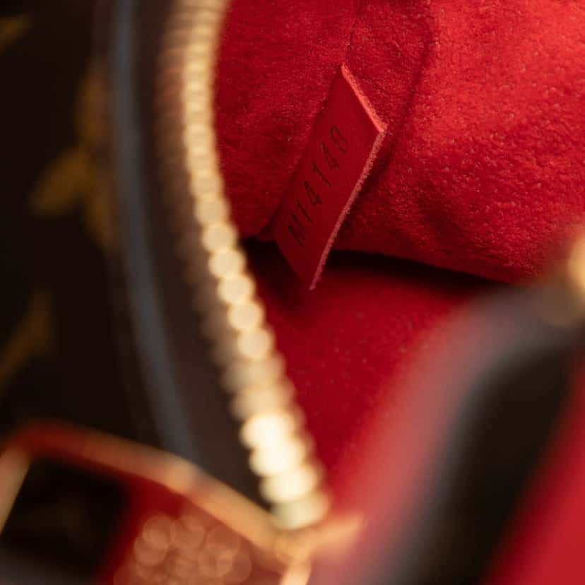 Louis Vuitton Monogram Braided Neonoe MM Brown Very good condition - Box View