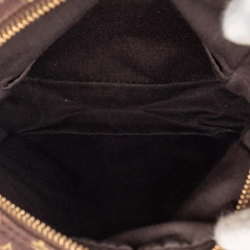 Louis Vuitton Monogram Mini Lin Danube Brown Very good condition - Model View