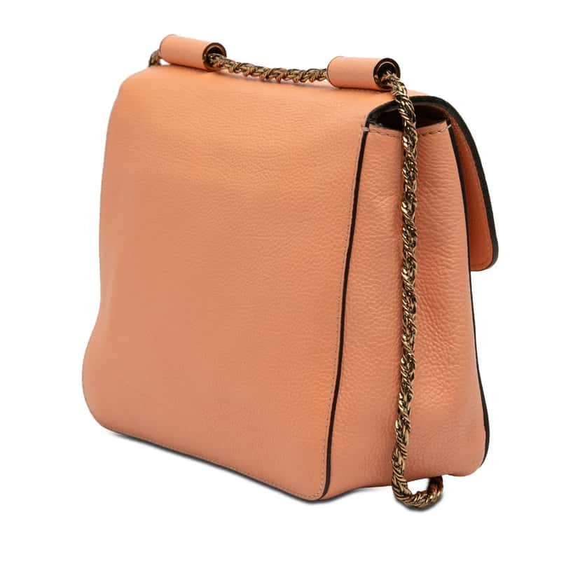 Chloé Small Leather Elsie Crossbody Orange Leather Very good condition - Back View