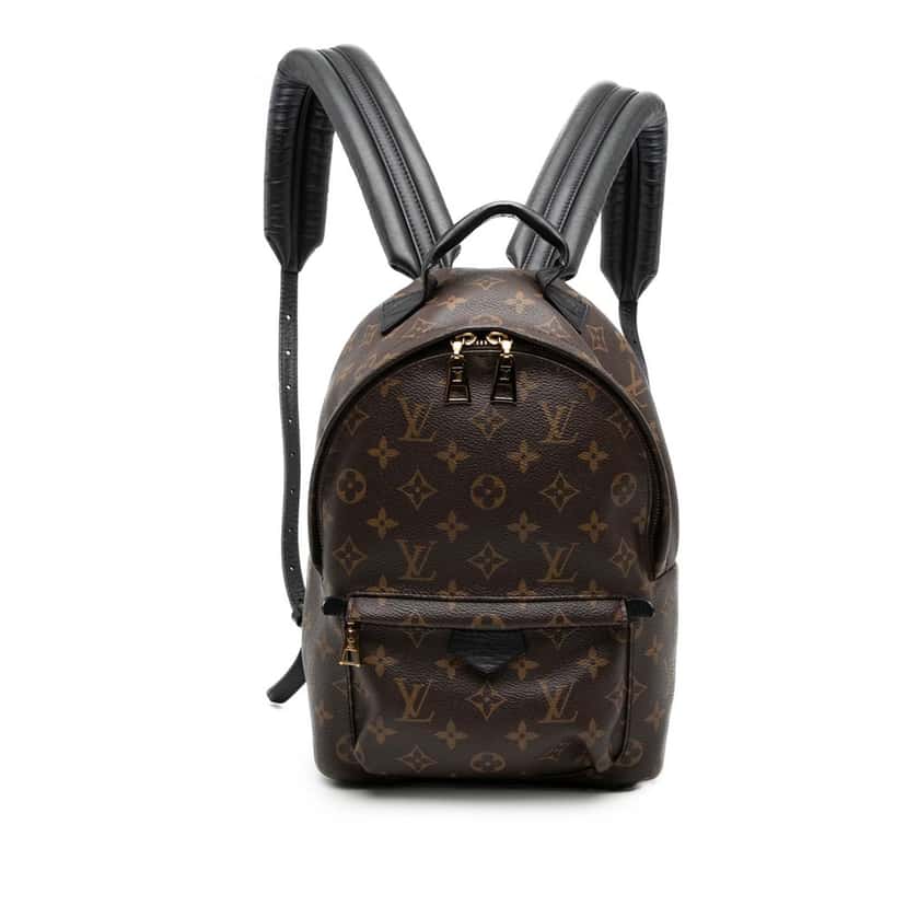 Louis Vuitton Monogram Palm Springs PM Brown Very good condition - Front View