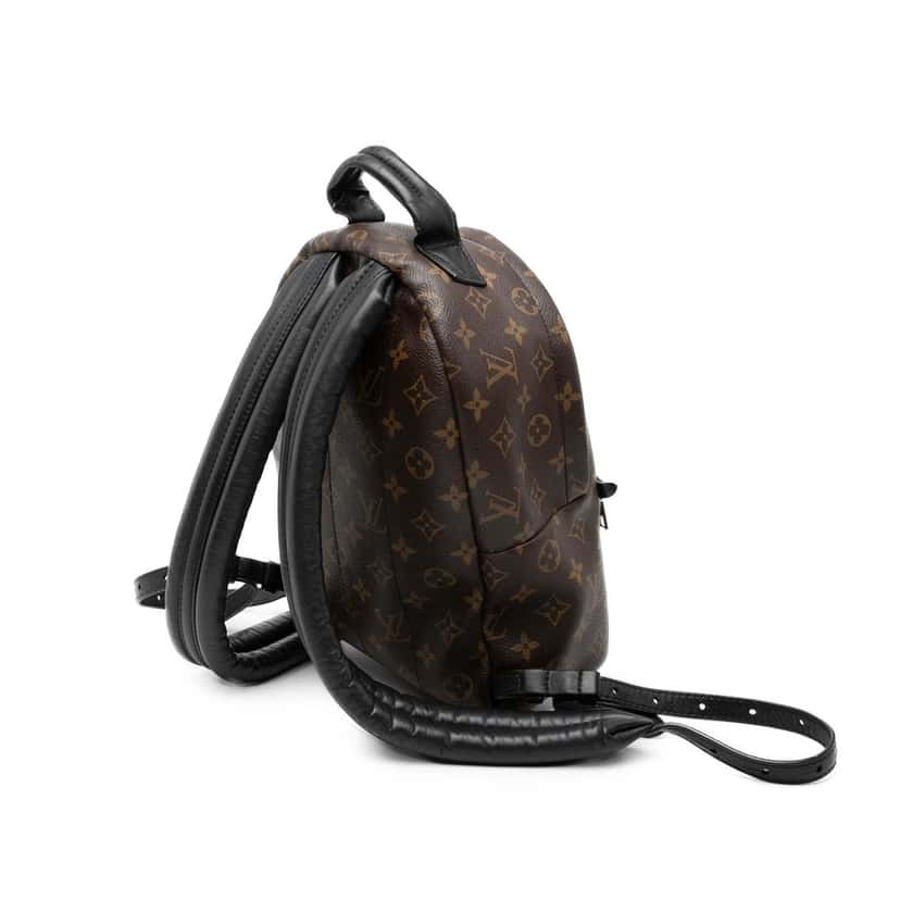 Louis Vuitton Monogram Palm Springs PM Brown Very good condition - Back View