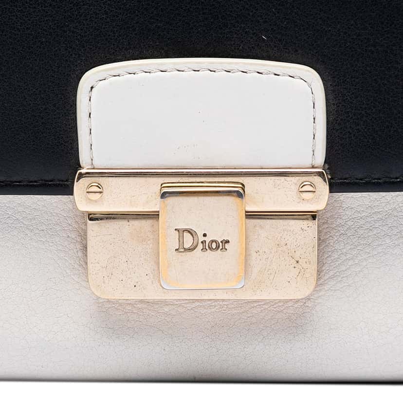 Dior Bicolor Calfskin Diorling Wallet on Chain White Leather Very good condition - Box View