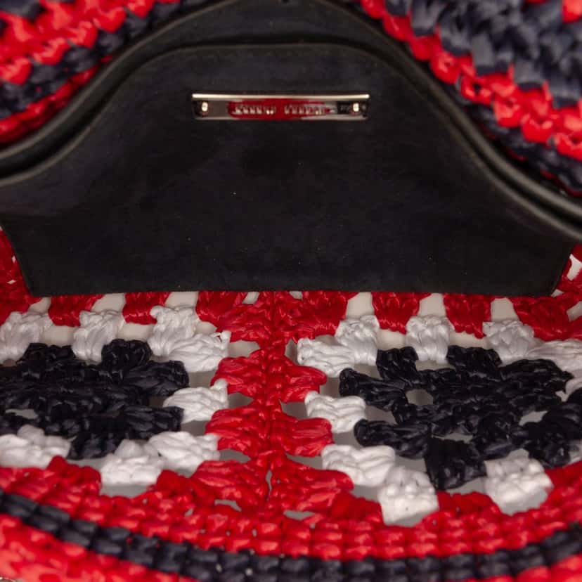 Miu Miu Multicolor Raffia Crochet Wallet on Chain Red Never worn - Model View