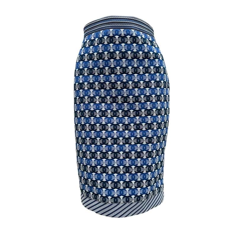 Chanel Chanel 2019 Pre-Spring Blue & White CC Logo Knee Skirt Sz 40 pre-owned White Good condition - Front View