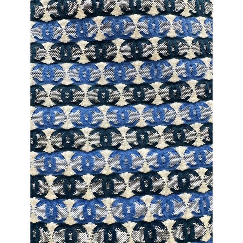 Chanel Chanel 2019 Pre-Spring Blue & White CC Logo Knee Skirt Sz 40 pre-owned White Good condition - Model View