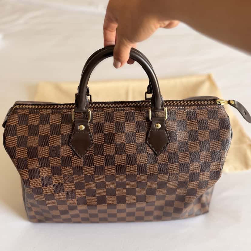 Louis Vuitton Speedy Other Canvas Very good condition - Back View