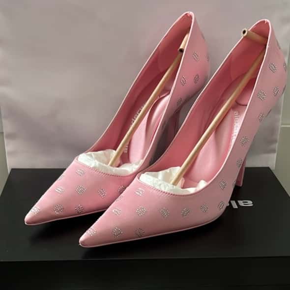 Alexander Wang Delphine 105 Pump Pink Never worn, with tag - Inside View
