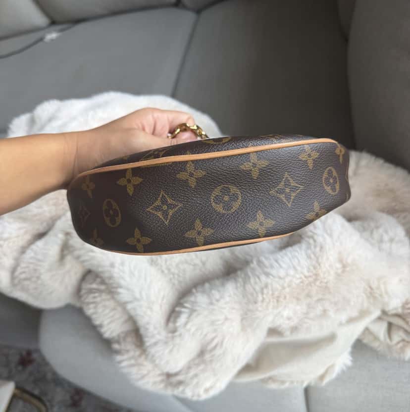 Louis Vuitton Loop bag Brown Leather Good condition - Inside View