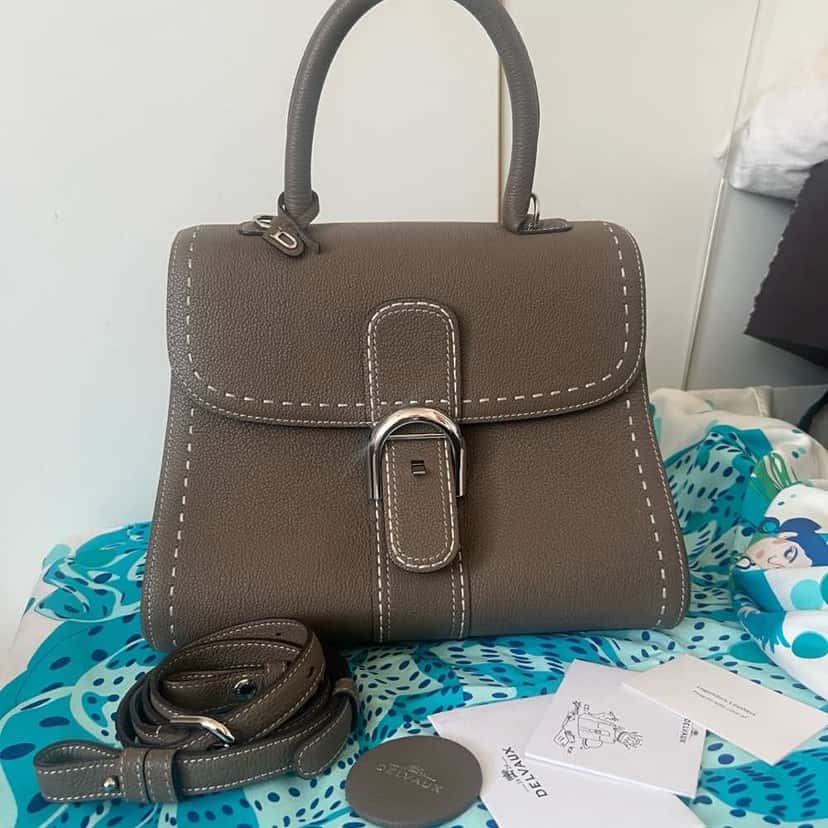 Delvaux MM Brillant Supriquè Grey Leather Palladium Very good condition - Back View