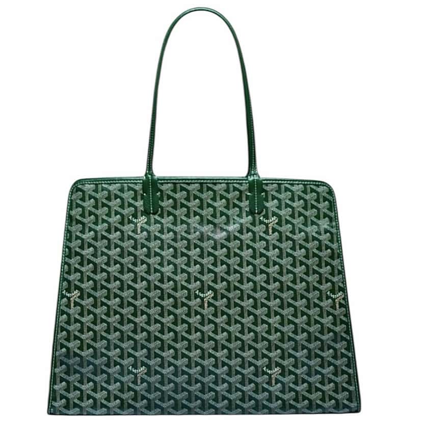 Goyard Goyard Hardy Bag Green Canvas Never worn, with tag - Front View