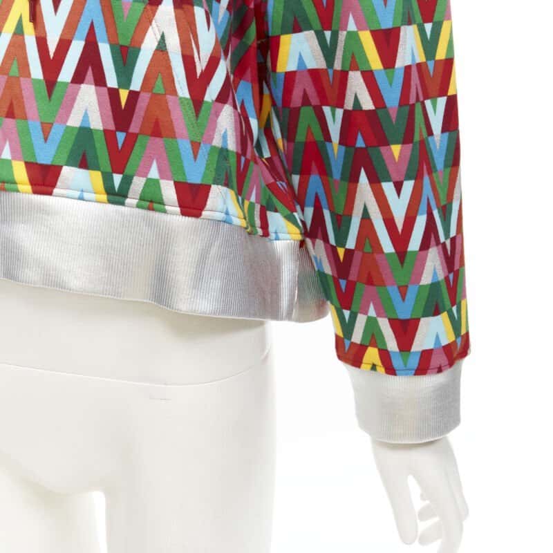 Valentino Garavani Silver Foil Hoodie MultiColor Cotton Never worn - Back View