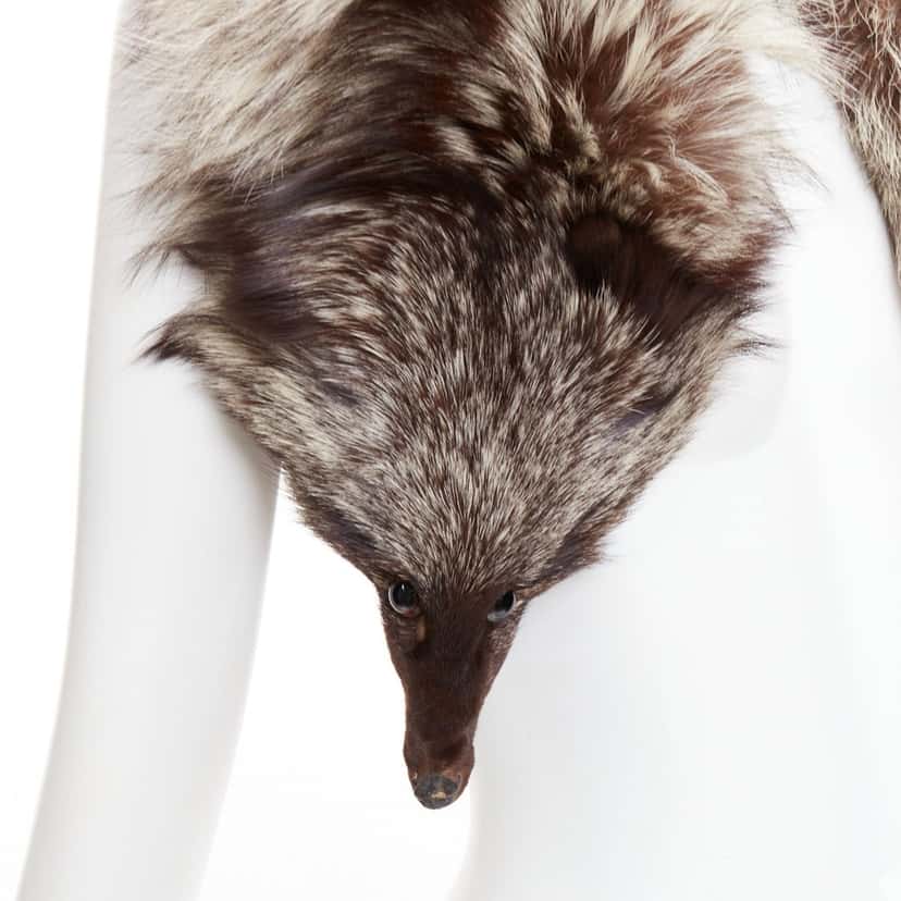 NON SIGNE / UNSIGNED Product Brown Fur Very good condition - Back View