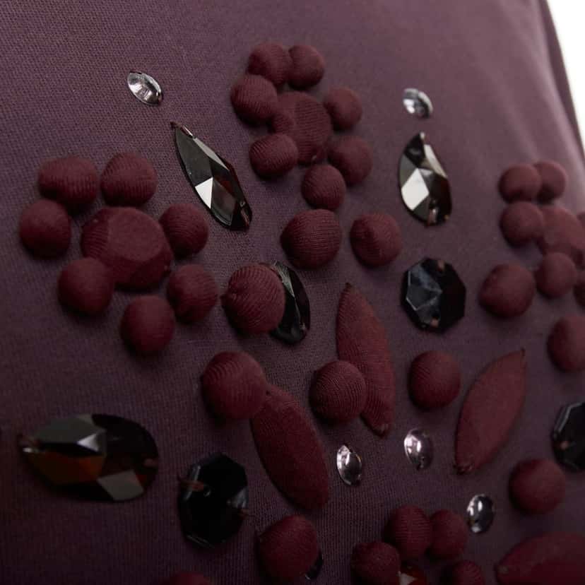 Lanvin Crystal Embellished Pullover Burgundy Cotton Very good condition - Back View