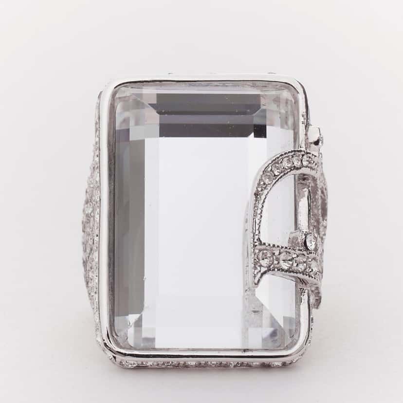 Dior Product Silver Metal Very good condition - Back View