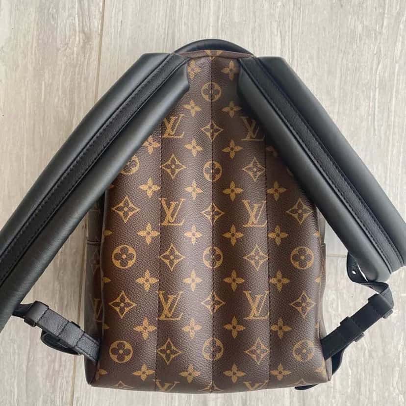 Louis Vuitton Palm Springs Brown Leather Gold Very good condition - Back View
