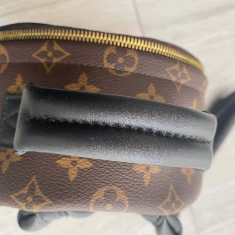 Louis Vuitton Palm Springs Brown Leather Gold Very good condition - Model View