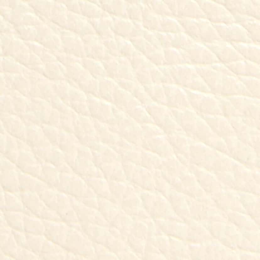 Christian Louboutin Christian Louboutin Kios Loubisky Spike Snow Leather Card Holder Beige Leather Never worn - Model View