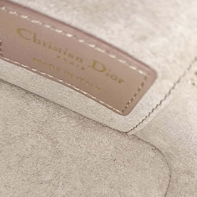 Dior Dior Vanity Lady Pink Leather Never worn, with tag - Model View