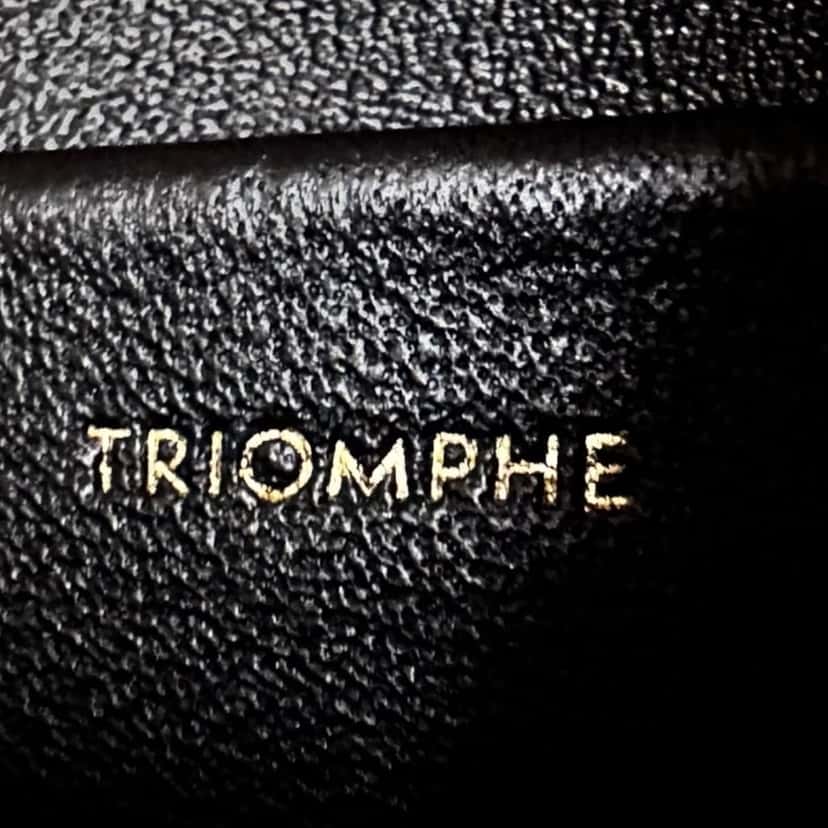 Celine Celine Triomphe Black Leather Never worn, with tag - Box View