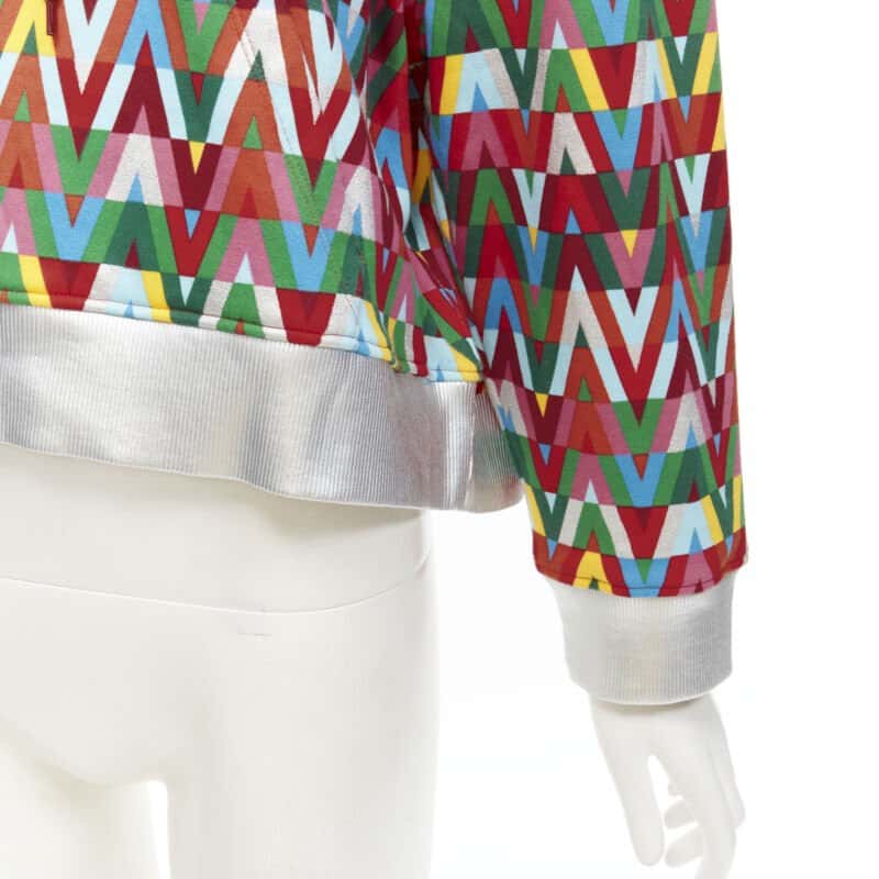 Valentino Garavani Silver Foil Hoodie MultiColor Cotton Never worn - Back View