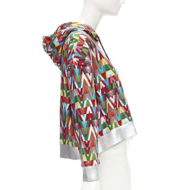 Valentino Garavani Silver Foil Hoodie MultiColor Cotton Never worn - Model View