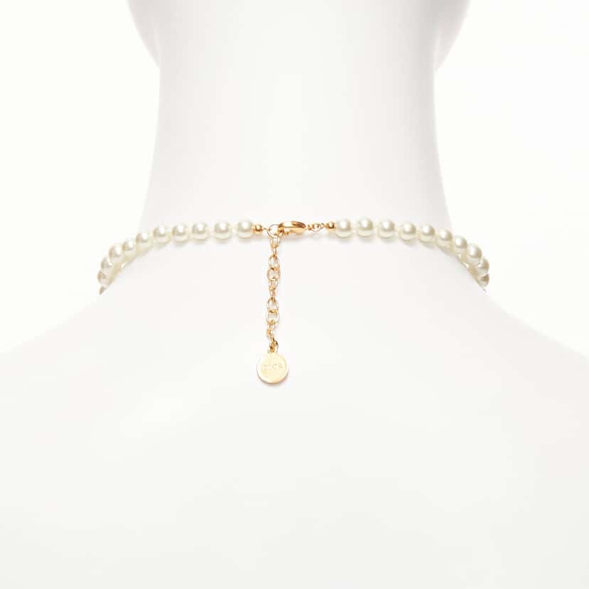 Dior Fire Dinosaur Choker Beige Metal Very good condition - Box View