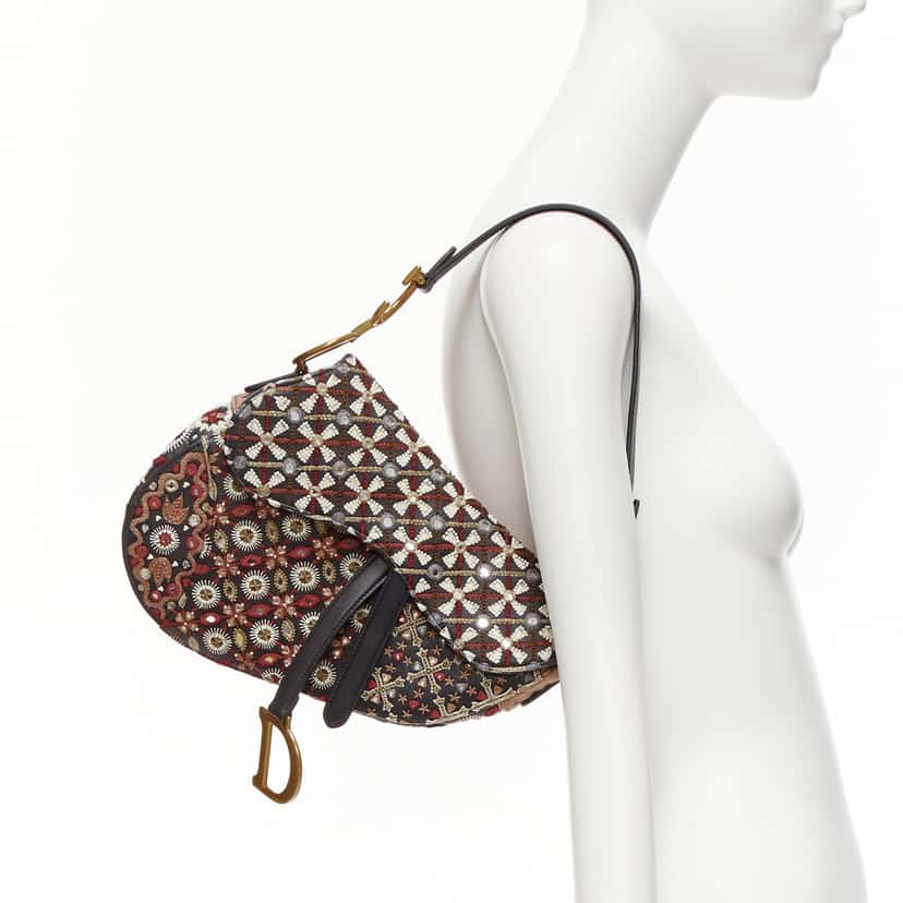 Dior Saddle MultiColor Leather Very good condition - Back View