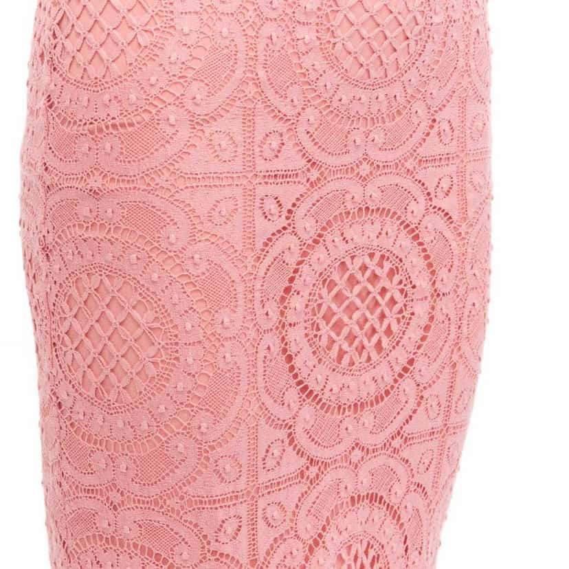 Burberry Floral Lace Skirt Pink Cotton Never worn - Back View