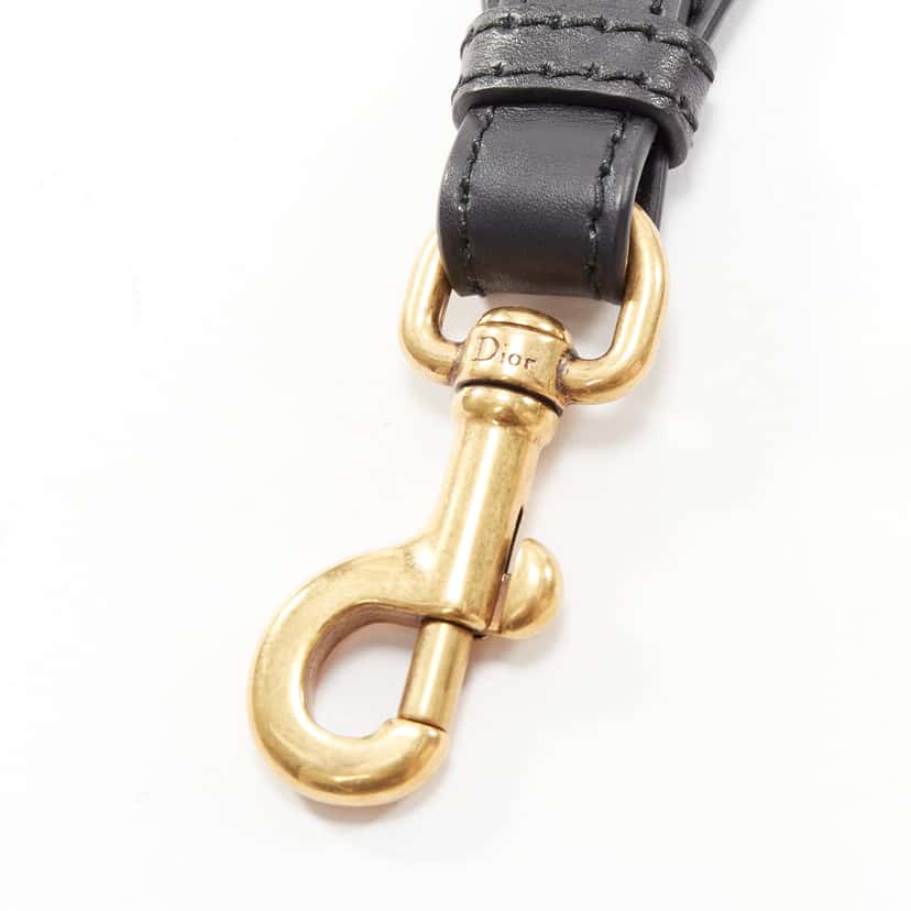 Dior Fiesta Bag Strap MultiColor Very good condition - Model View