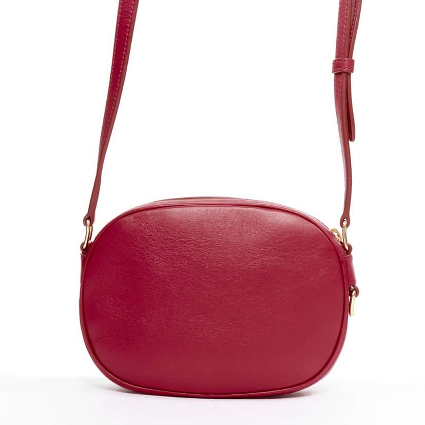 Celine Red Charm Camera Bag Red Leather Never worn, with tag - Box View