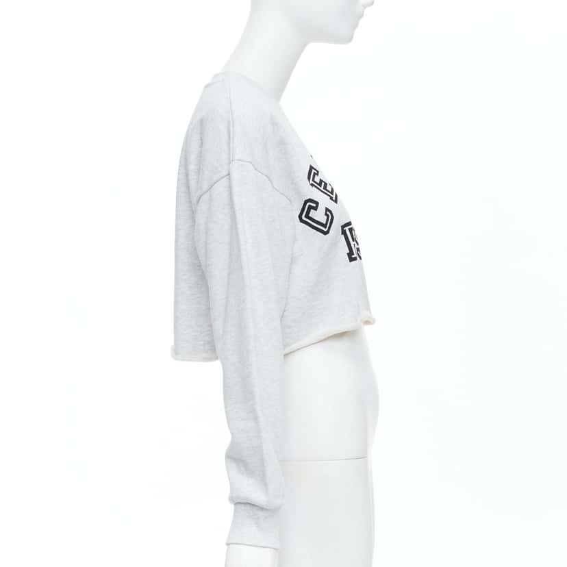 Celine Varsity Logo Sweatshirt Grey Cotton Never worn - Model View