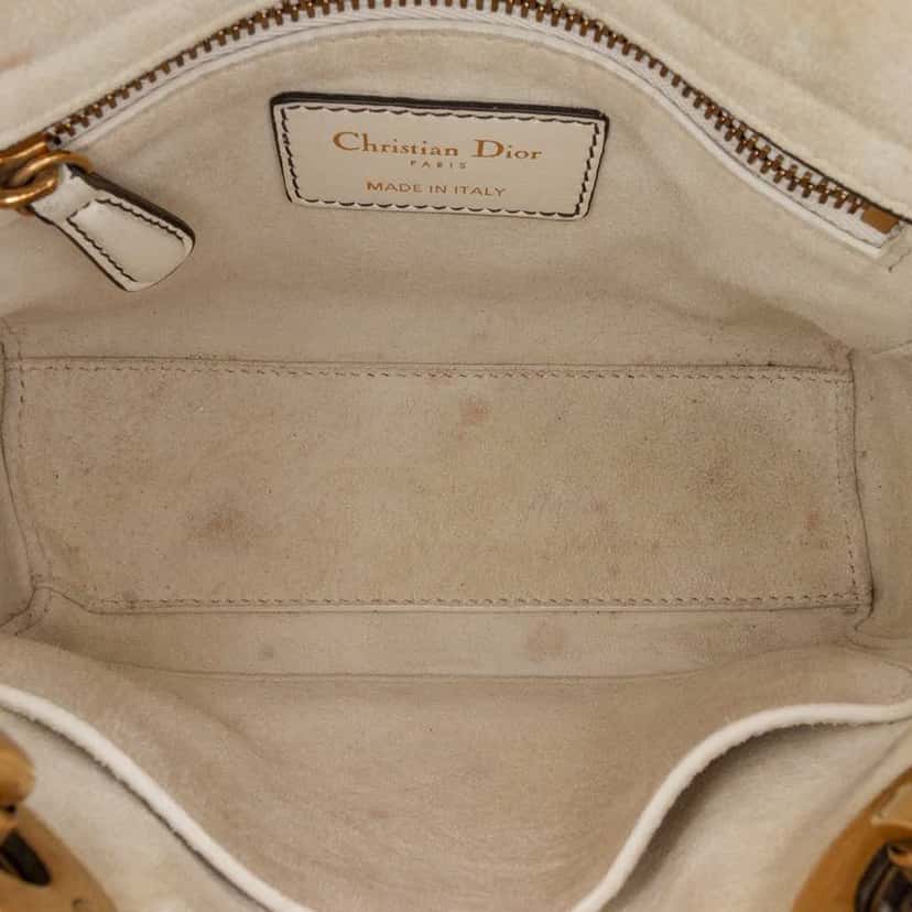Dior Limited Edition Niki De Saint Phalle Mini Calfskin Dragon Lady Dior White Leather Good condition - Model View