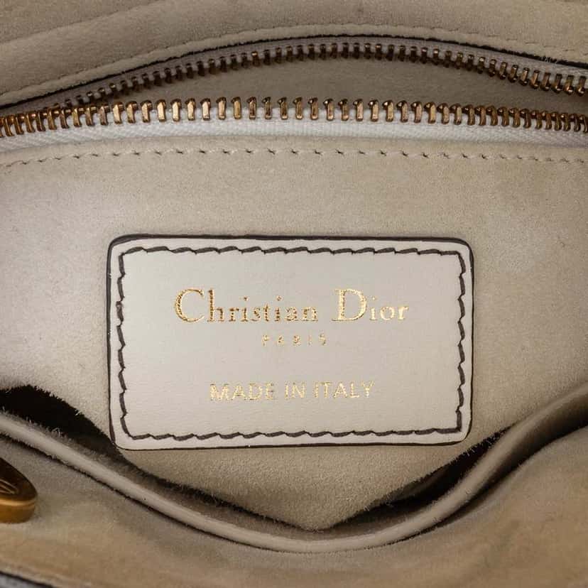 Dior Limited Edition Niki De Saint Phalle Mini Calfskin Dragon Lady Dior White Leather Good condition - Box View