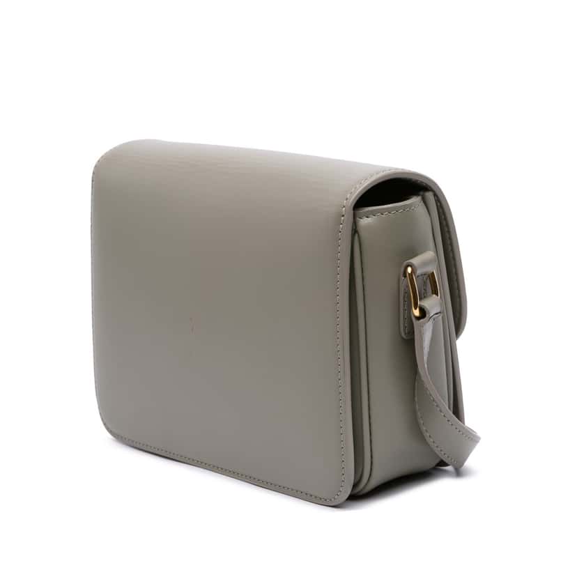 Celine Teen Shiny Calfskin Triomphe Crossbody Other Leather Good condition - Back View