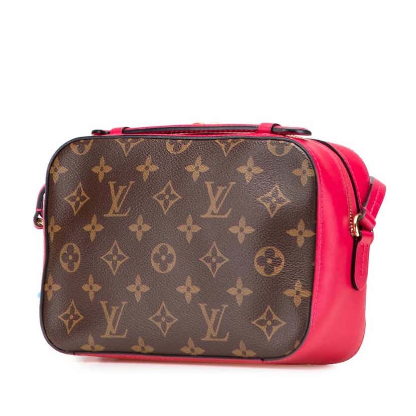 Louis Vuitton Monogram Saintonge Brown Canvas Very good condition - Back View