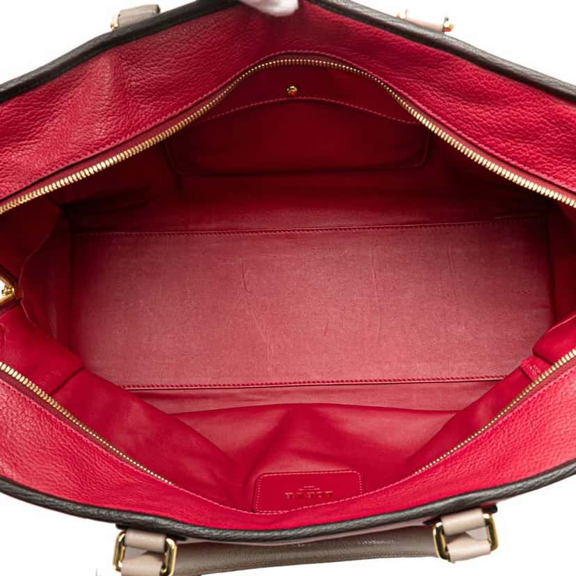 Loewe Tricolor Leather Amazona 36 Red Leather Good condition - Model View