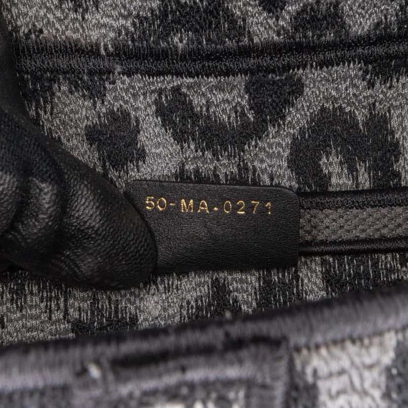 Dior Mizza Embroidered Canvas Leopard Saddle Bag Other Good condition - Box View