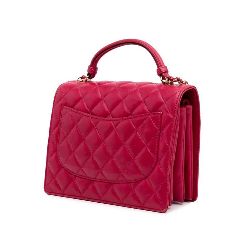 Chanel Small Quilted Lambskin Citizen Chic Flap Pink Leather Good condition - Back View