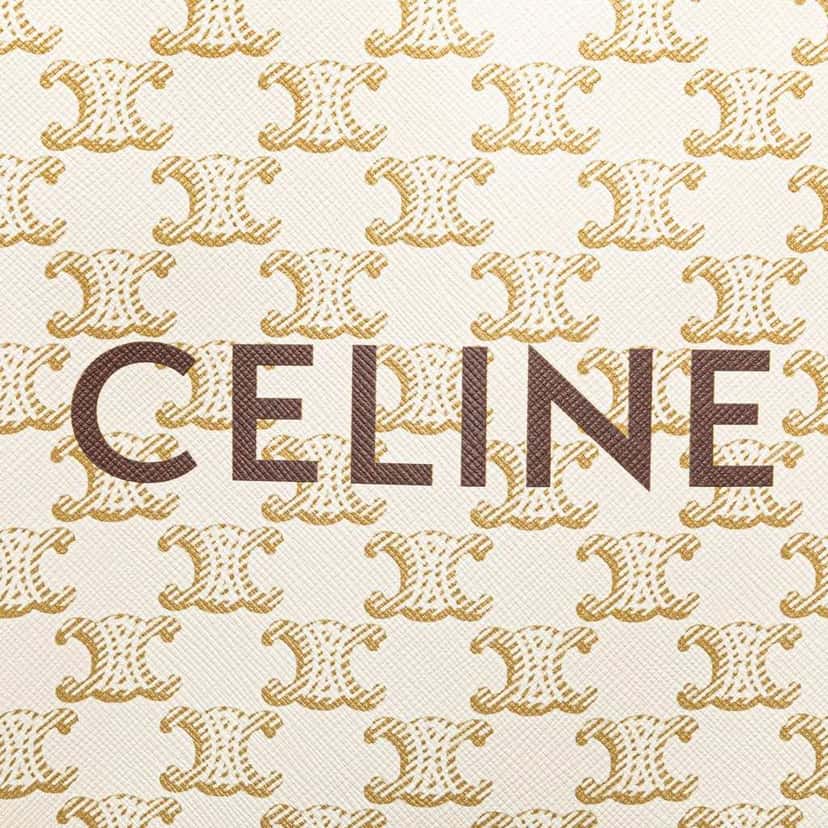 Celine Mini Triomphe Coated Canvas Vertical Cabas Satchel White Canvas Good condition - Box View